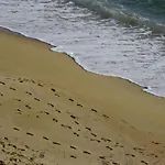 Szálloda Beau Rivage 3*