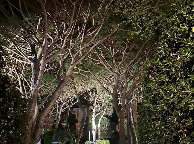 Beau Rivage 3* Ле-Лаванду