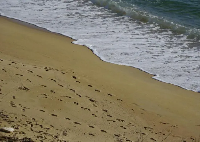 Отель Beau Rivage 3*