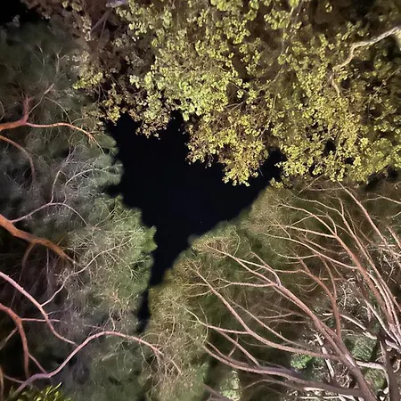 Beau Rivage מלון