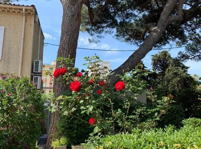 Beau Rivage Hotel Le Lavandou