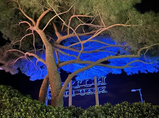 酒店 波赫瓦日酒店 3*